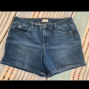 Curve Appeal Jean Shorts